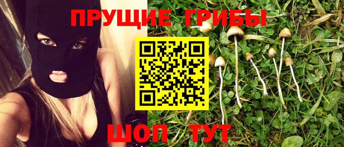 Псилоцибиновые грибы мицелий  Псилоцибиновые грибы Psilocybe  Вход с VPN  Амурск 